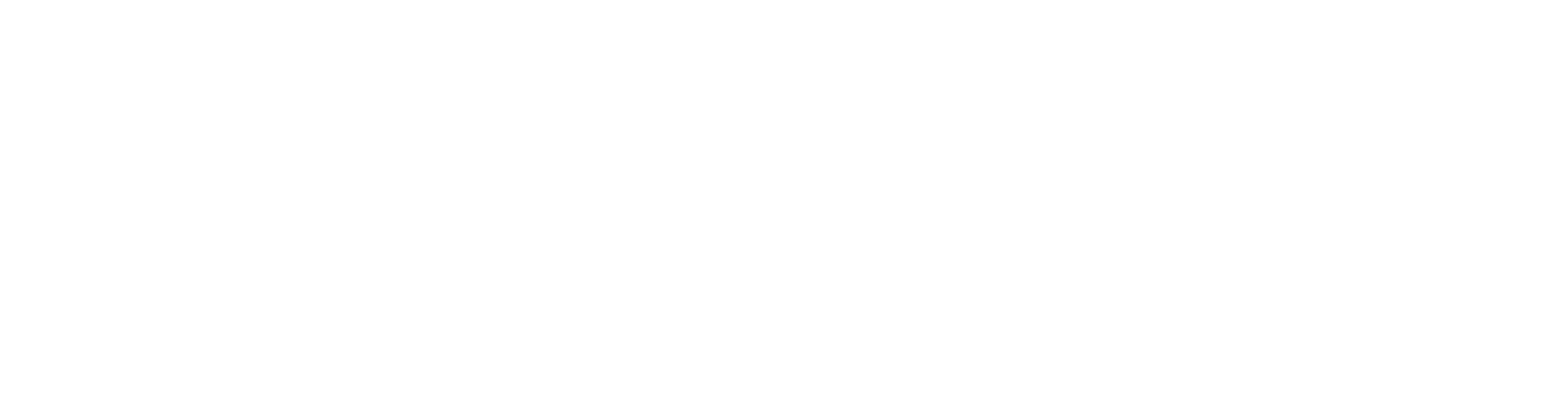 Sunship trucking logo all white